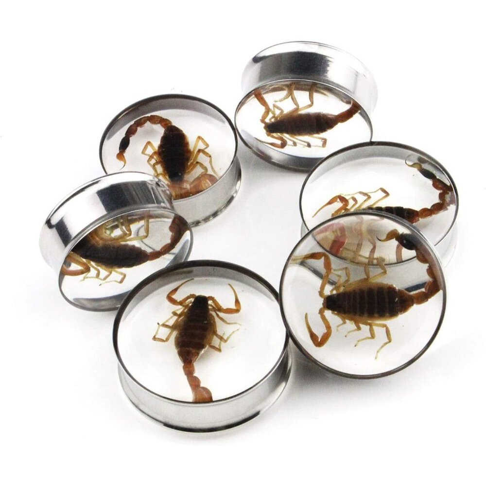 Stylish 1" Double Flare Ear Gauges in Stainless Steel with Scorpion Overlay - Picture 5 of 5